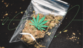 6 claves para transformar las narrativas sobre drogas, según Adriana Muro