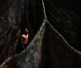 ‘A cura está na floresta’: a jornada de um pajé na Amazônia brasileira