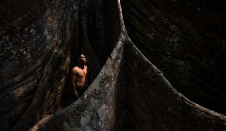 ‘A cura está na floresta’: a jornada de um pajé na Amazônia brasileira