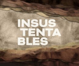 Insustentáveis