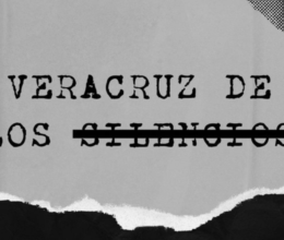 Veracruz de los silencios